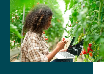 Bourse Agriculture and Food Research Initiative – Education and Workforce Development 2026 aux États-Unis