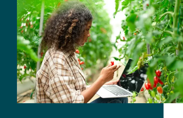 Bourse Agriculture and Food Research Initiative – Education and Workforce Development 2026 aux États-Unis