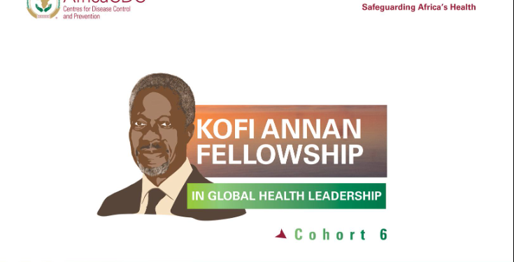 Bourse Kofi Annan Fellowship in Global Health Leadership en Afrique 2026 / 2027 : programme entièrement financé pour dirigeants en santé publique